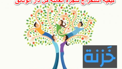 كيفية استخراج شجرة العائلة من دار الوثائق