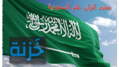 معنى الوان علم السعودية