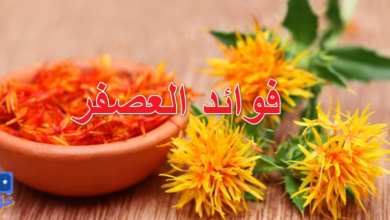 فوائد العصفر