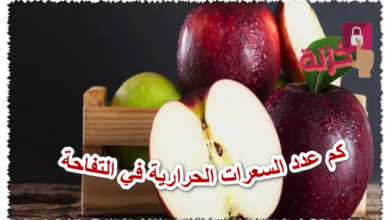 كم عدد السعرات الحرارية في التفاحة