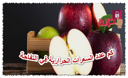 كم عدد السعرات الحرارية في التفاحة