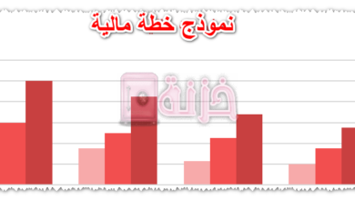 نموذج خطة مالية