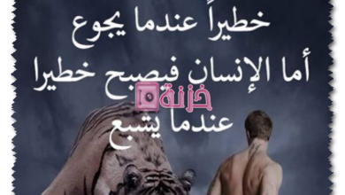 أقوال وحكم قصيرة