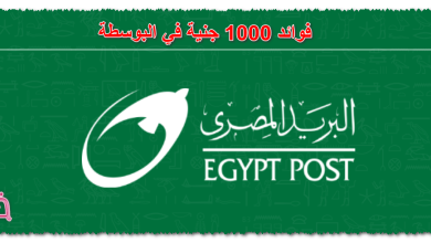 فوائد 1000 جنية في البوسطة