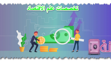 تخصصات علم الاقتصاد